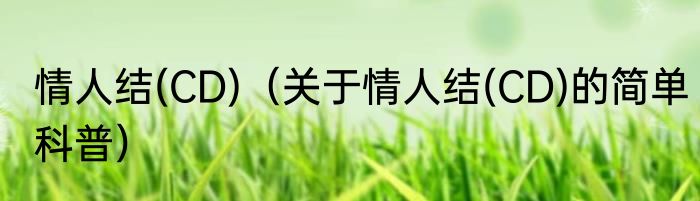 情人结(CD)（关于情人结(CD)的简单科普）