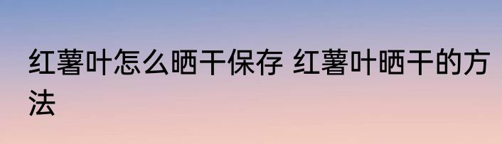 红薯叶怎么晒干保存 红薯叶晒干的方法