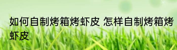 如何自制烤箱烤虾皮 怎样自制烤箱烤虾皮