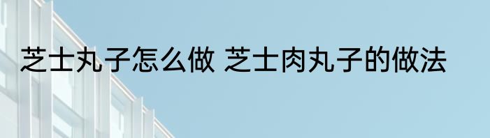 芝士丸子怎么做 芝士肉丸子的做法