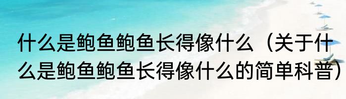 什么是鲍鱼鲍鱼长得像什么（关于什么是鲍鱼鲍鱼长得像什么的简单科普）