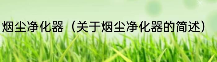 烟尘净化器（关于烟尘净化器的简述）
