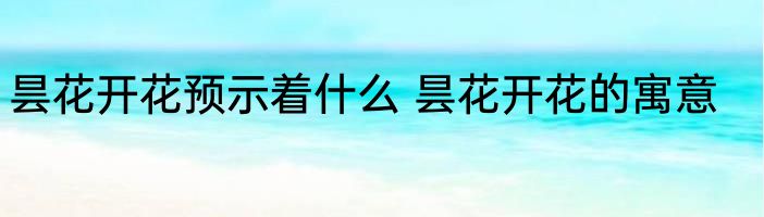 昙花开花预示着什么 昙花开花的寓意