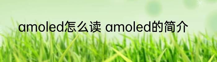 amoled怎么读 amoled的简介
