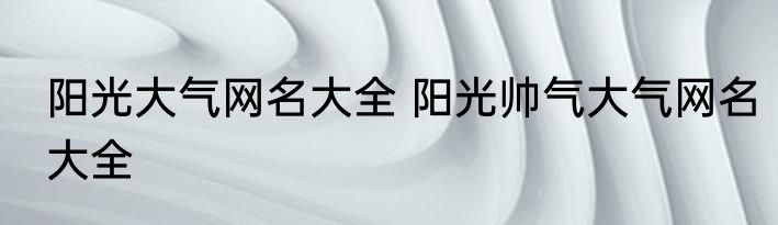 阳光大气网名大全 阳光帅气大气网名大全