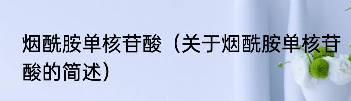 烟酰胺单核苷酸（关于烟酰胺单核苷酸的简述）
