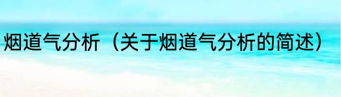 烟道气分析（关于烟道气分析的简述）