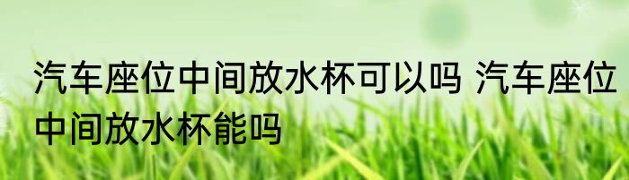 汽车座位中间放水杯可以吗 汽车座位中间放水杯能吗