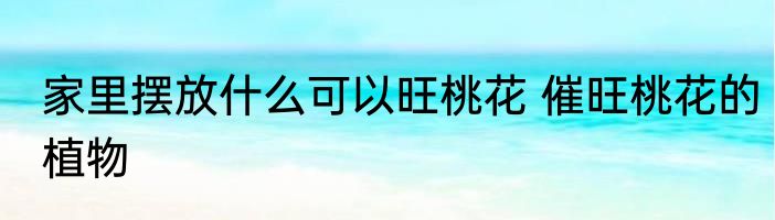 家里摆放什么可以旺桃花 催旺桃花的植物