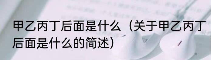 甲乙丙丁后面是什么（关于甲乙丙丁后面是什么的简述）