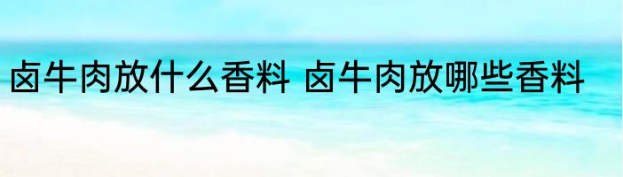 卤牛肉放什么香料 卤牛肉放哪些香料
