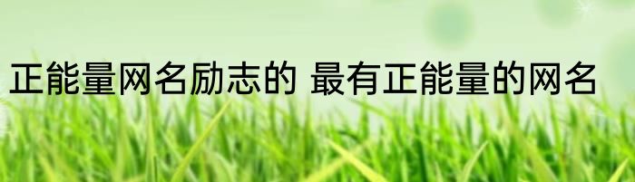 正能量网名励志的 最有正能量的网名