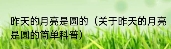 昨天的月亮是圆的（关于昨天的月亮是圆的简单科普）