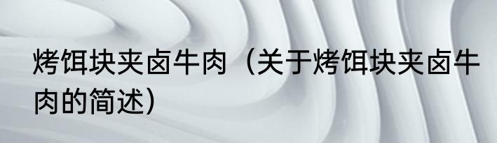 烤饵块夹卤牛肉（关于烤饵块夹卤牛肉的简述）