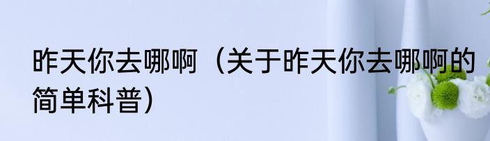 昨天你去哪啊（关于昨天你去哪啊的简单科普）