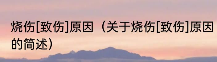 烧伤[致伤]原因（关于烧伤[致伤]原因的简述）