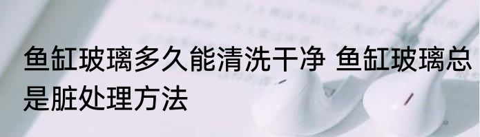 鱼缸玻璃多久能清洗干净 鱼缸玻璃总是脏处理方法
