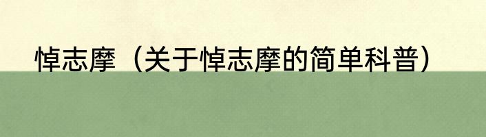 悼志摩（关于悼志摩的简单科普）