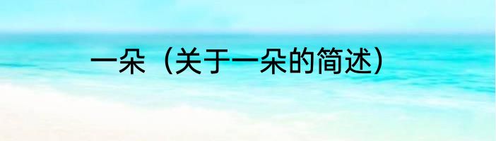 一朵（关于一朵的简述）