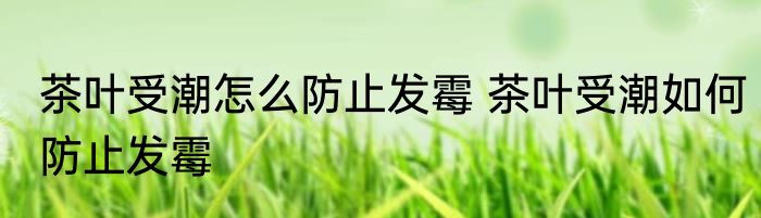 茶叶受潮怎么防止发霉 茶叶受潮如何防止发霉