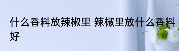 什么香料放辣椒里 辣椒里放什么香料好