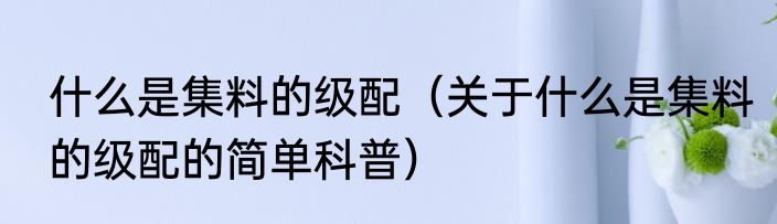 什么是集料的级配（关于什么是集料的级配的简单科普）
