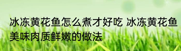 冰冻黄花鱼怎么煮才好吃 冰冻黄花鱼美味肉质鲜嫩的做法