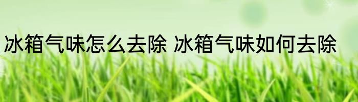 冰箱气味怎么去除 冰箱气味如何去除