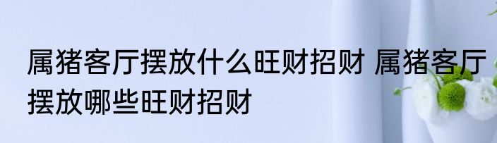 属猪客厅摆放什么旺财招财 属猪客厅摆放哪些旺财招财