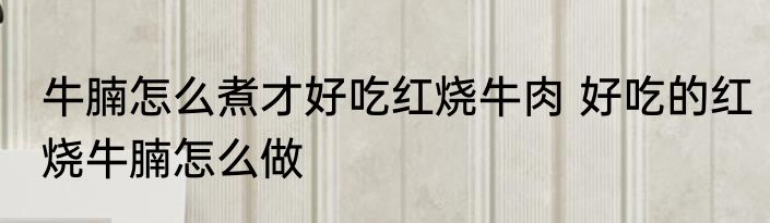 牛腩怎么煮才好吃红烧牛肉 好吃的红烧牛腩怎么做