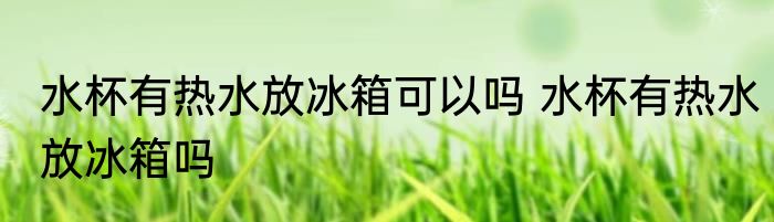 水杯有热水放冰箱可以吗 水杯有热水放冰箱吗