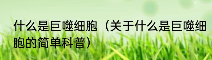 什么是巨噬细胞（关于什么是巨噬细胞的简单科普）