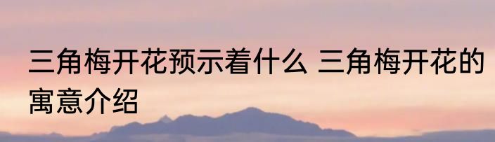 三角梅开花预示着什么 三角梅开花的寓意介绍