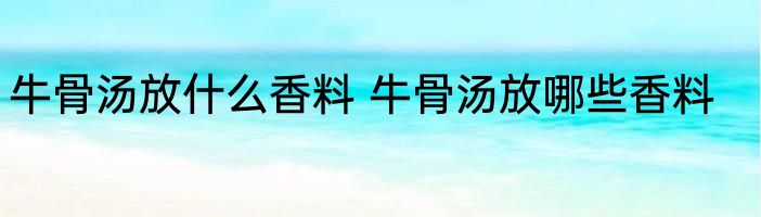 牛骨汤放什么香料 牛骨汤放哪些香料
