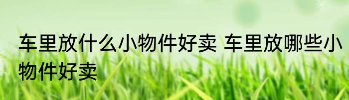 车里放什么小物件好卖 车里放哪些小物件好卖