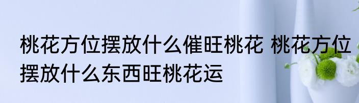 桃花方位摆放什么催旺桃花 桃花方位摆放什么东西旺桃花运
