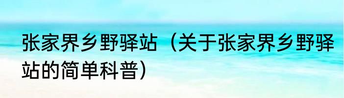 张家界乡野驿站（关于张家界乡野驿站的简单科普）