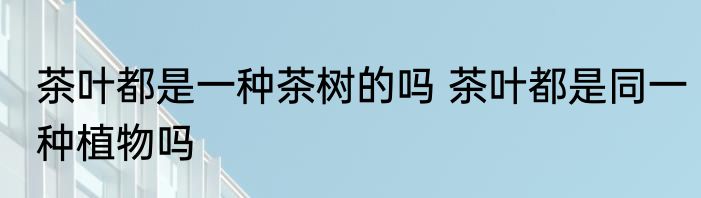 茶叶都是一种茶树的吗 茶叶都是同一种植物吗