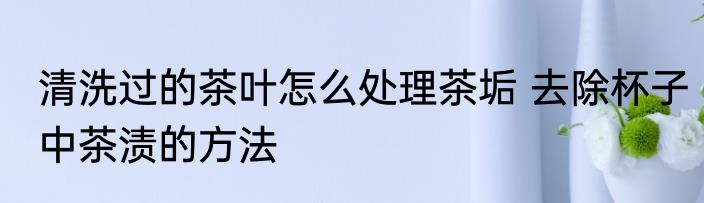 清洗过的茶叶怎么处理茶垢 去除杯子中茶渍的方法
