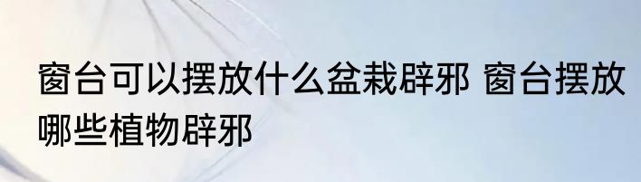 窗台可以摆放什么盆栽辟邪 窗台摆放哪些植物辟邪