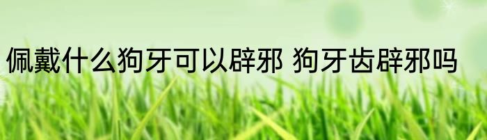 佩戴什么狗牙可以辟邪 狗牙齿辟邪吗