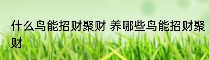 什么鸟能招财聚财 养哪些鸟能招财聚财