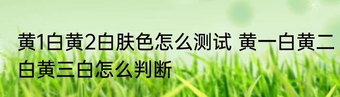 黄1白黄2白肤色怎么测试 黄一白黄二白黄三白怎么判断
