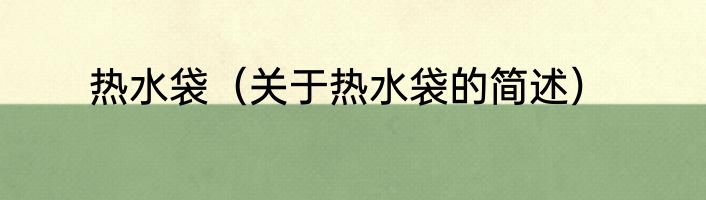 热水袋（关于热水袋的简述）