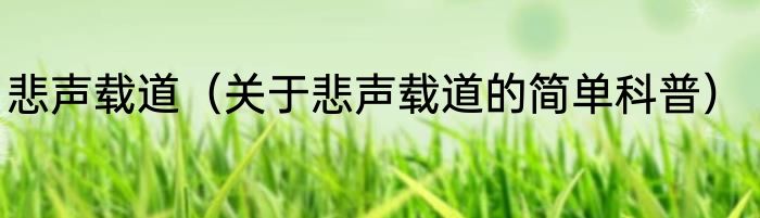 悲声载道（关于悲声载道的简单科普）