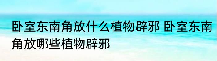 卧室东南角放什么植物辟邪 卧室东南角放哪些植物辟邪