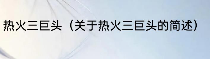 热火三巨头（关于热火三巨头的简述）