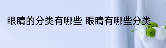 眼睛的分类有哪些 眼睛有哪些分类