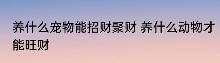 养什么宠物能招财聚财 养什么动物才能旺财