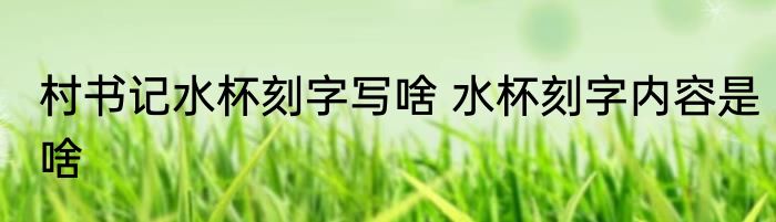 村书记水杯刻字写啥 水杯刻字内容是啥